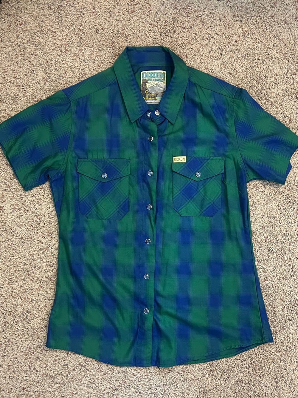 Dixxon Blue & Green Plaid Short-Sleeve Button-Up Shirt